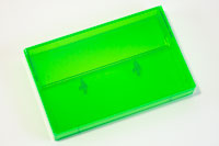 Fluorescent Green tint back / Fluorescent Green tint window